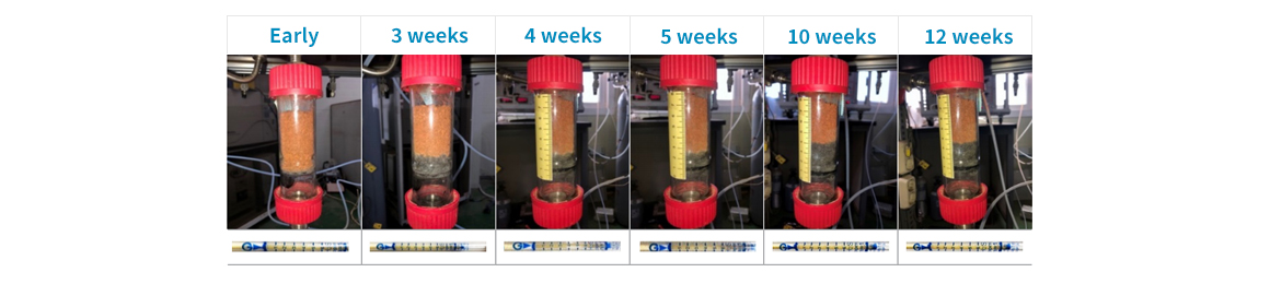 catalyst efficiency image